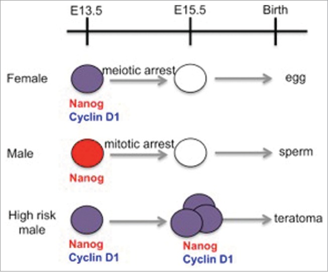 Figure 1.