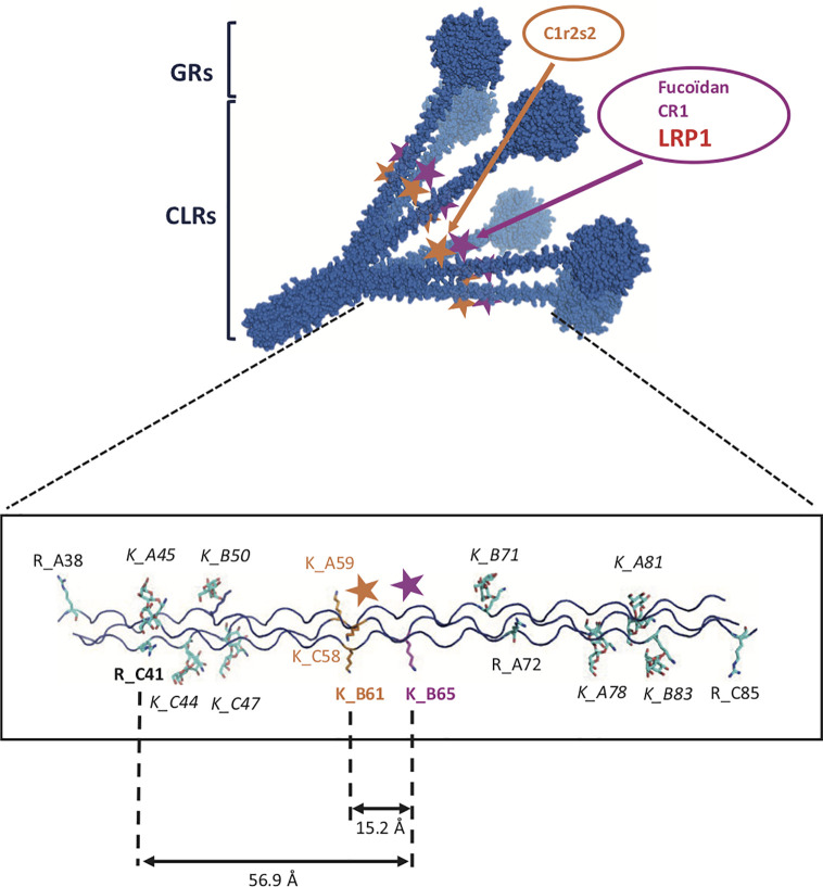 Figure 11