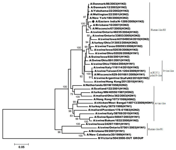 Figure 4