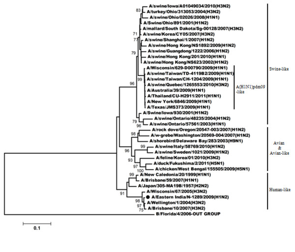 Figure 6