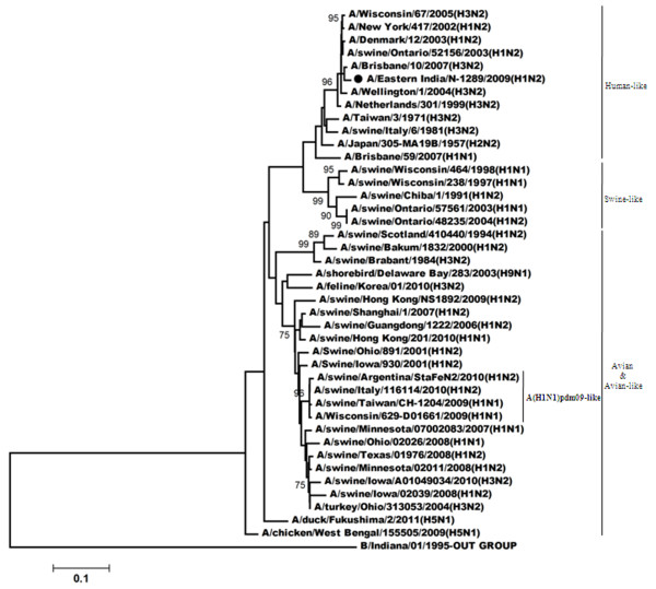 Figure 5