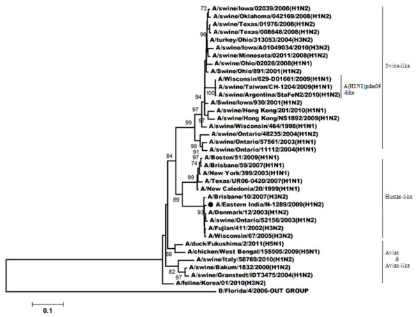 Figure 7