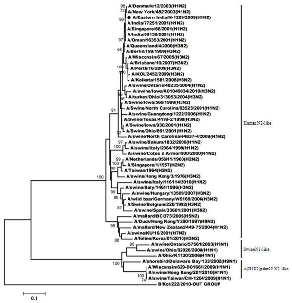 Figure 2