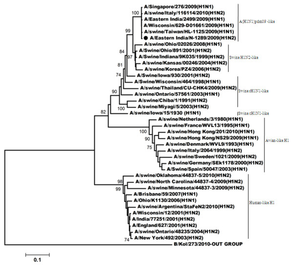 Figure 1