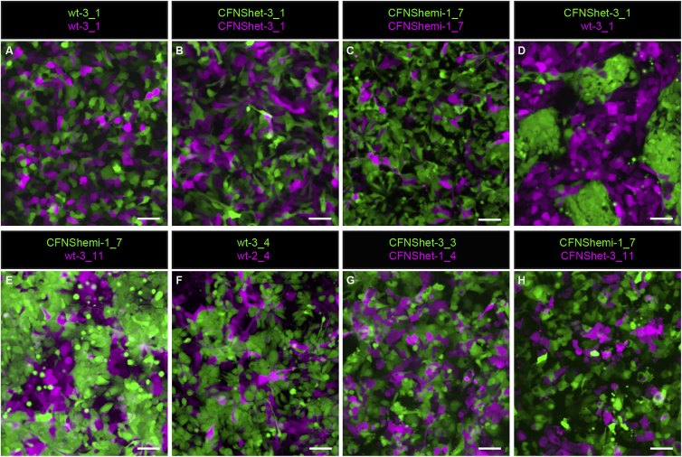 Figure 3