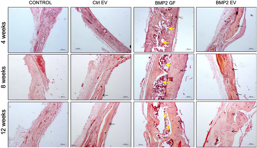 Figure 6: