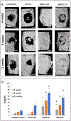 Figure 5: