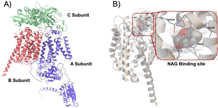 FIGURE 2