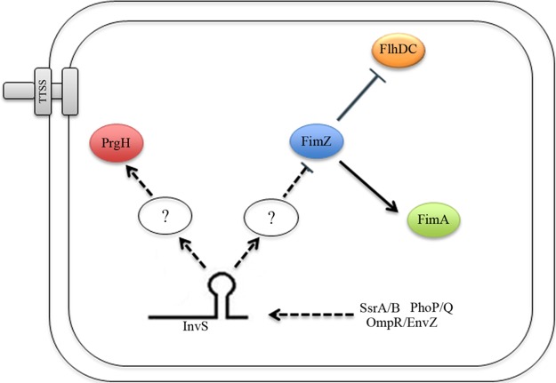 FIG 9