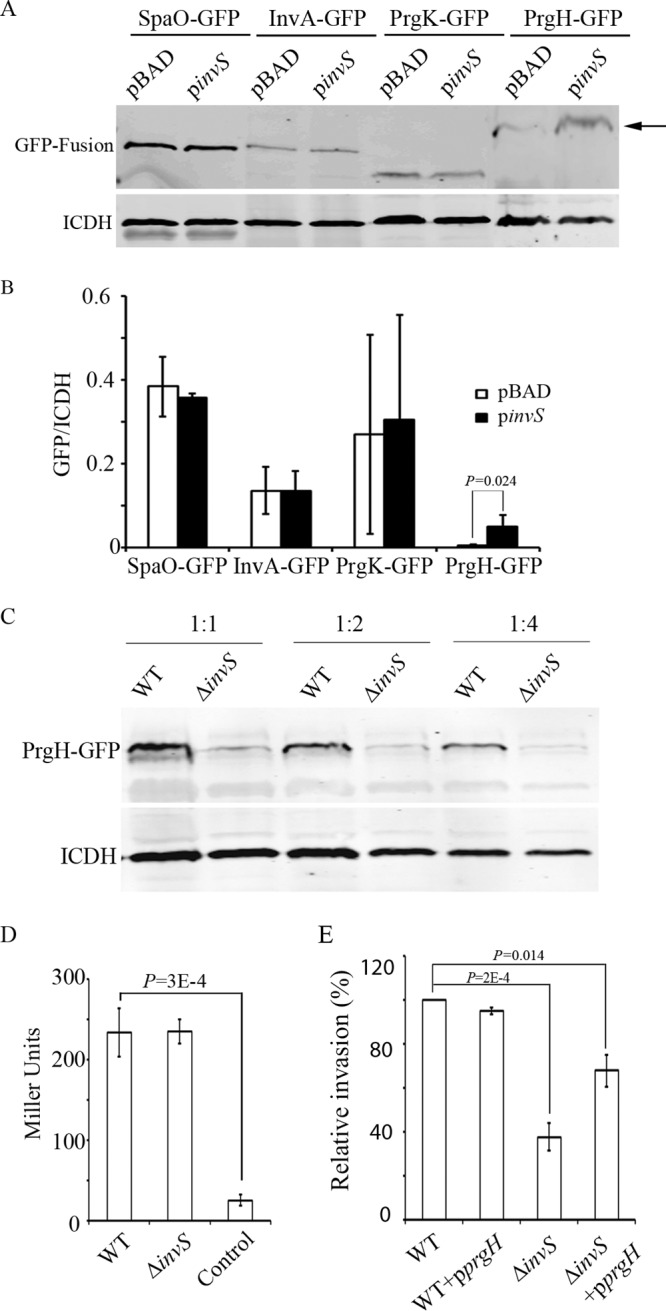 FIG 5