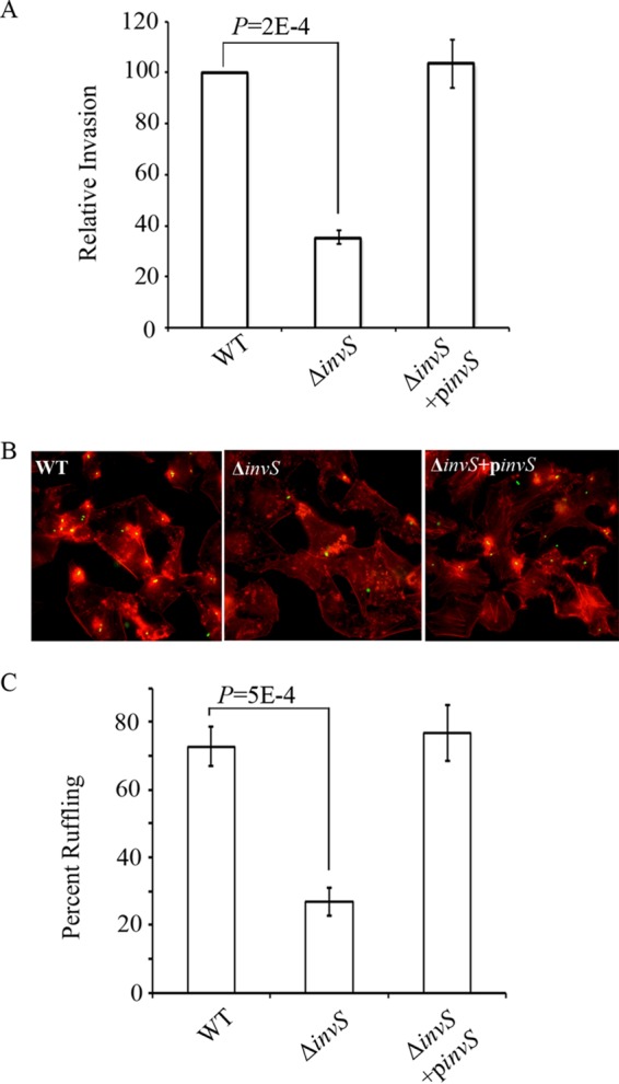 FIG 1