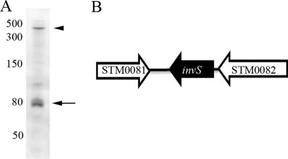 FIG 2