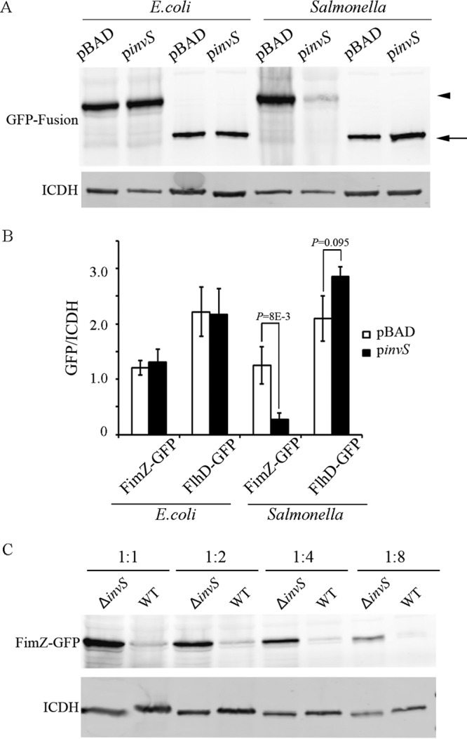 FIG 6