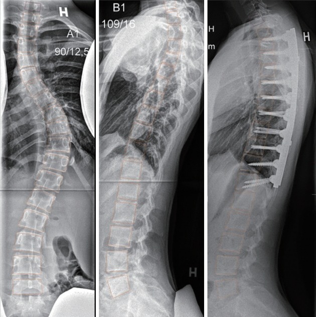 Fig. 2.