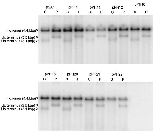 FIG. 7