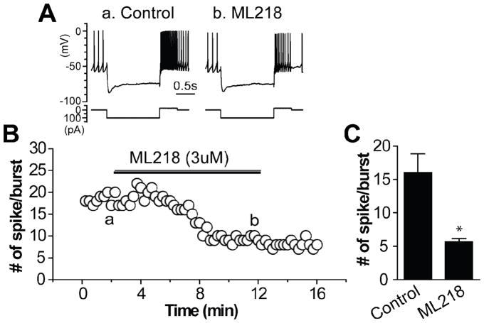 Figure 11