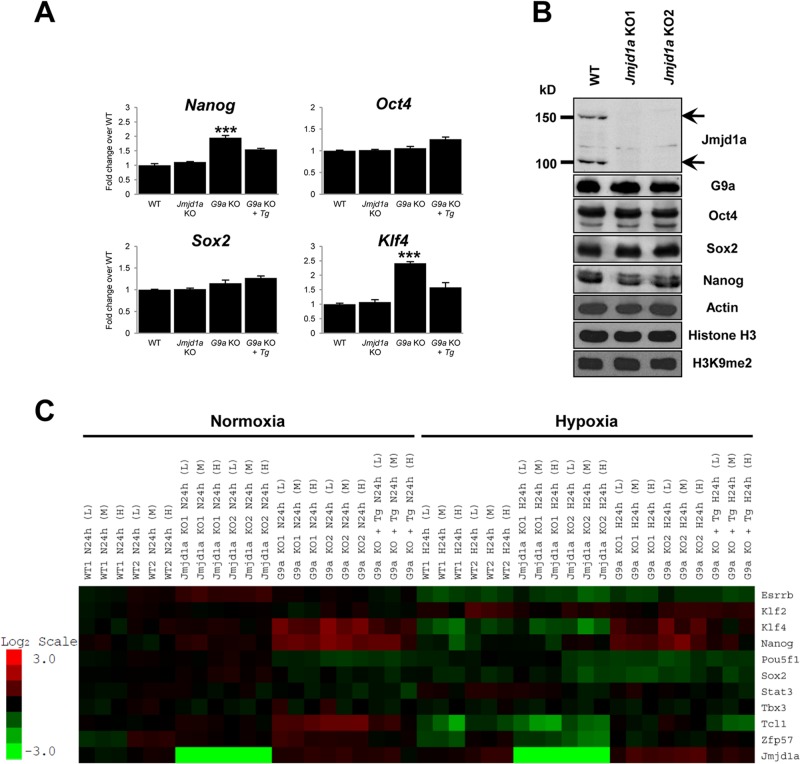 FIG 2