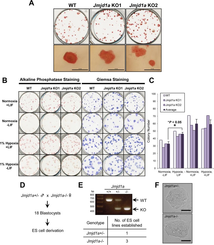 FIG 3