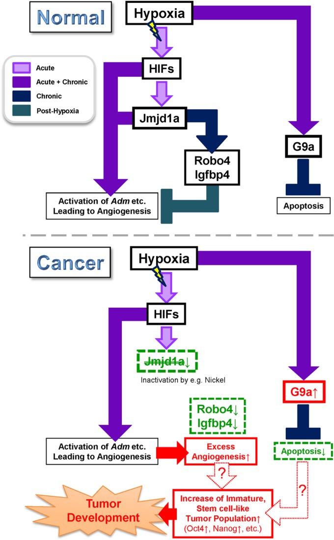 FIG 11