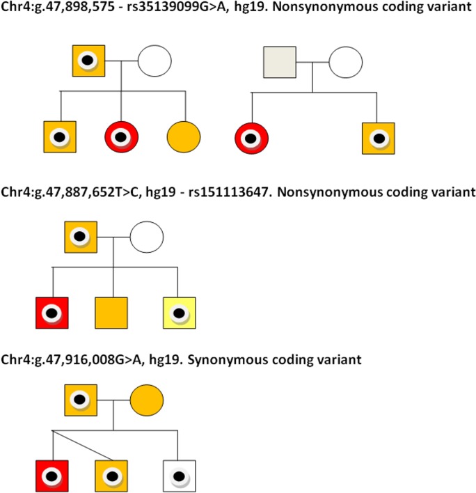 Fig 3