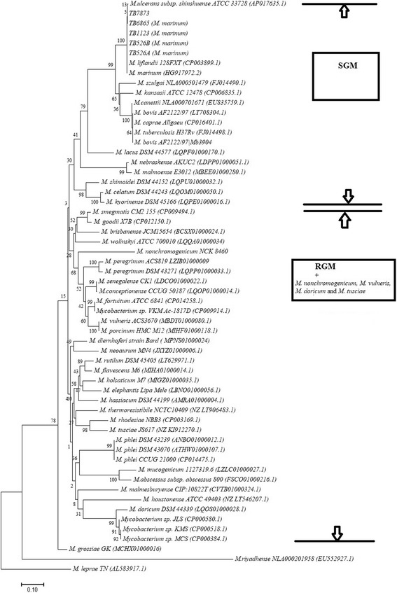 Fig. 3