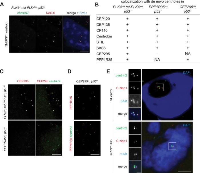 FIGURE 3: