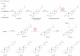 Chemical pathway diagram illustrating the biosynthesis of triterpenoids and antcins from farnesyl diphosphate. It shows the conversion processes involving various enzymes like TgSQS, TgSES, TgOSC, and others, leading to compounds such as lanosterol, ergosterol, and various antcins.