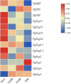 Heatmap showing expression levels of genes TgSQS, TgSES, TgOSC, TgErg11, TgErg24, TgErg25, TgErg26, TgErg6 1, TgErg6 2, TgErg2, TgErg3, TgErg4, and TgErg5 across samples GLG, NZJB, XZJB, and DM. Colors range from red (1.50, high expression) to blue (-1.50, low expression).