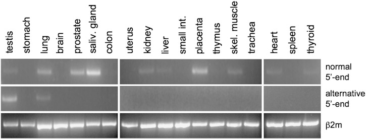 Fig. 6