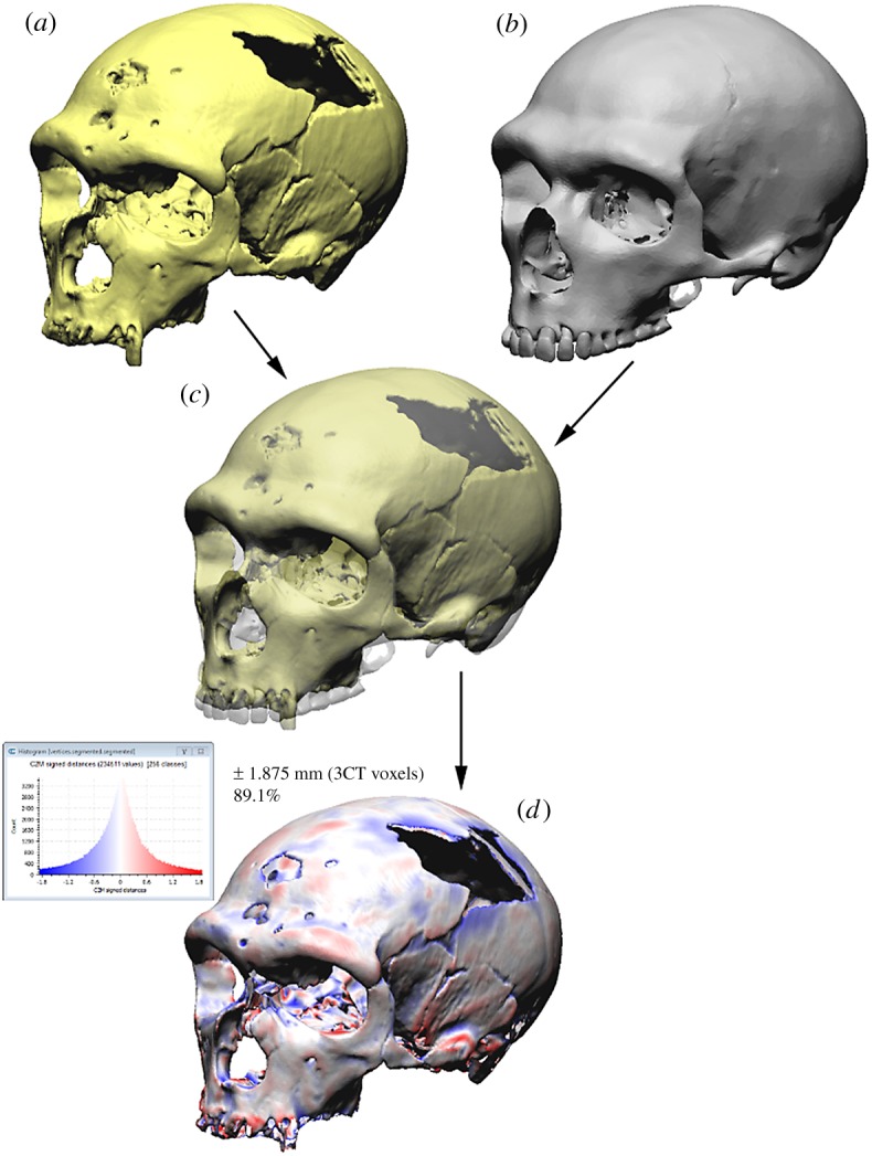 Figure 1.