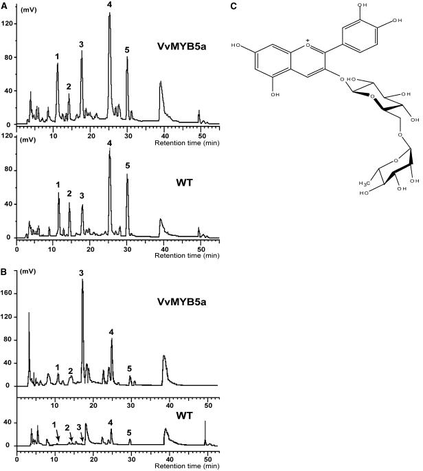 Figure 6.