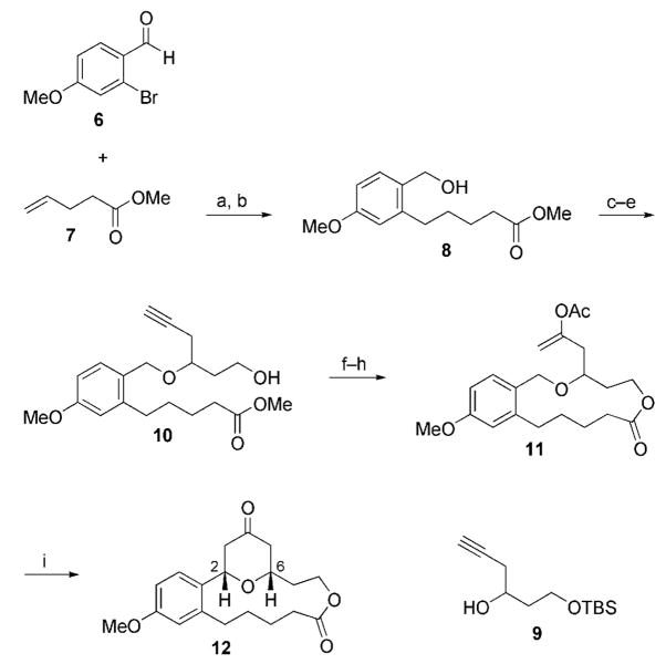 Scheme 3