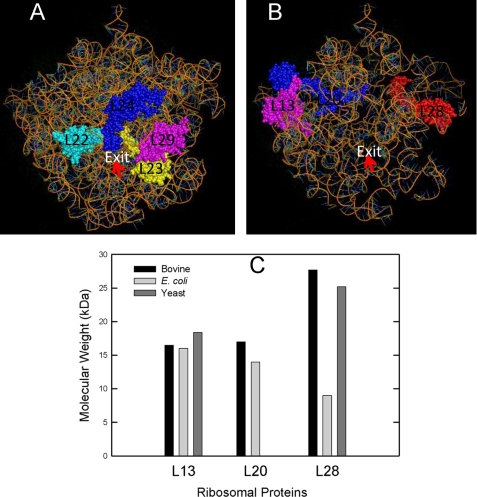 FIGURE 7.