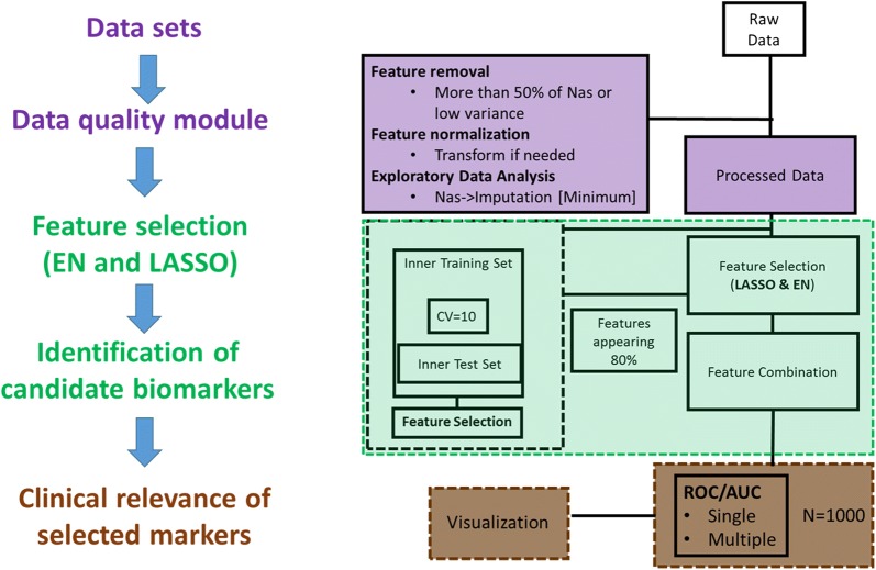 Fig. 1