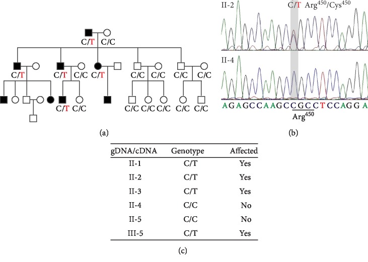 A Cohesin Subunit Variant Identified from a Peripheral Sclerocornea ...