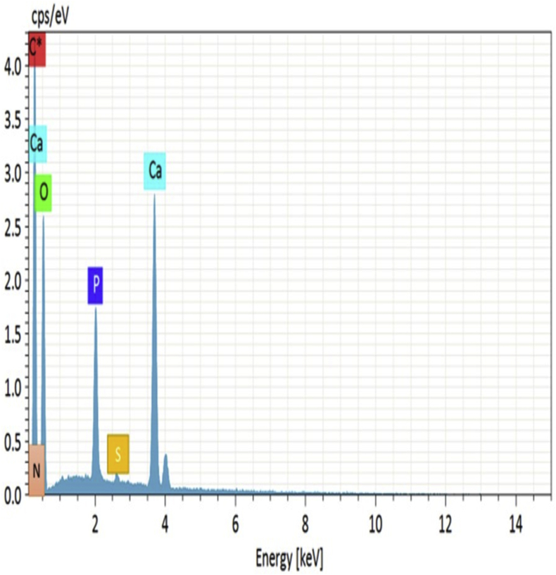 Figure 2