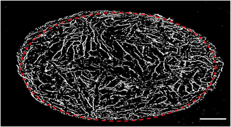 Figure 5