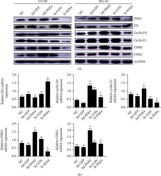 Figure 4