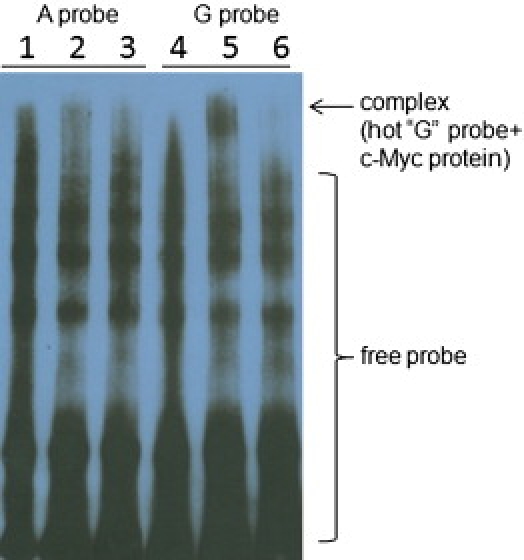 Figure 3