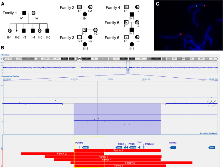 Figure 1