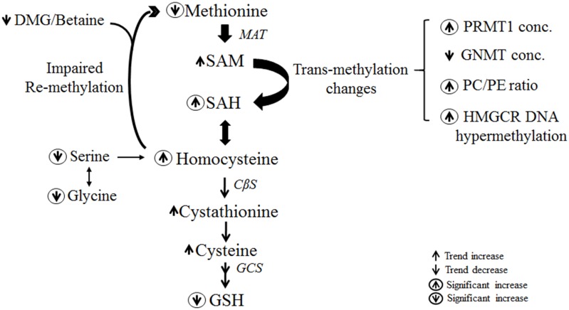 Fig 5