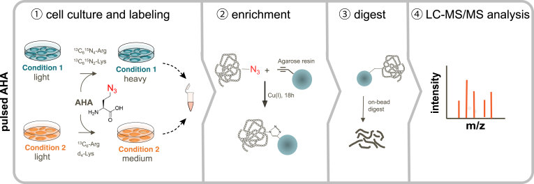 Fig. 3