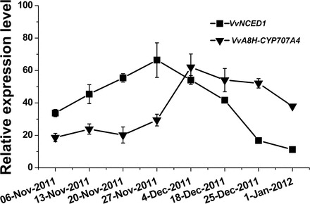 Fig. 9.