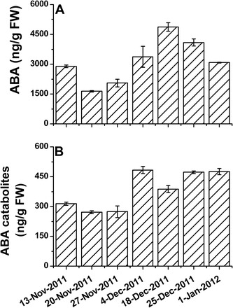 Fig. 10.