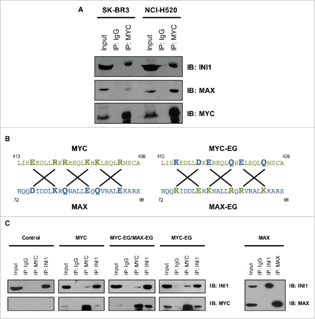 Figure 2.