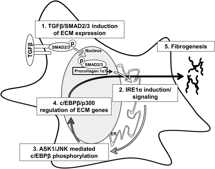 Figure 10.