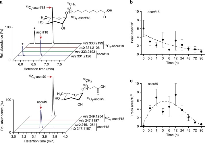 Fig. 2