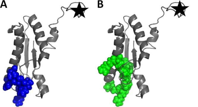 Fig 10