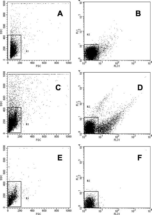 FIG. 2.