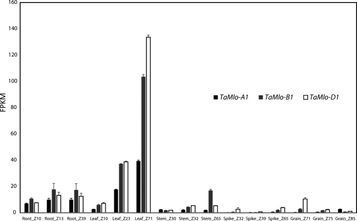 Figure 5